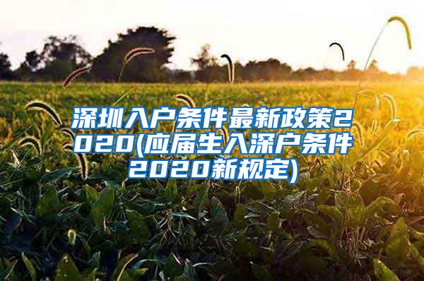 深圳入户条件最新政策2020(应届生入深户条件2020新规定)