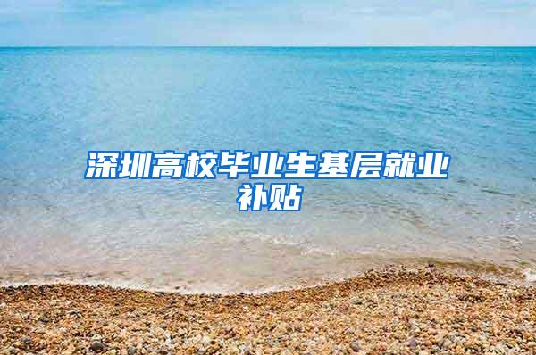 深圳高校毕业生基层就业补贴