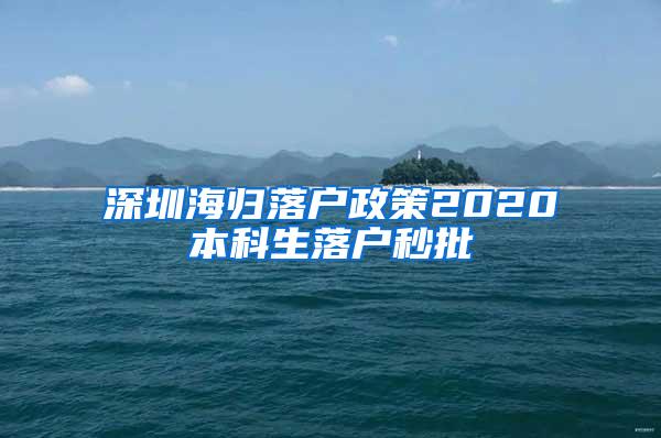 深圳海归落户政策2020本科生落户秒批