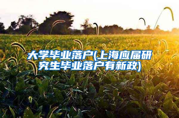 大学毕业落户(上海应届研究生毕业落户有新政)