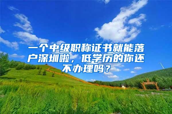 一个中级职称证书就能落户深圳啦，低学历的你还不办理吗？