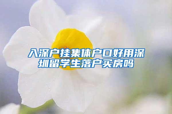 入深户挂集体户口好用深圳留学生落户买房吗