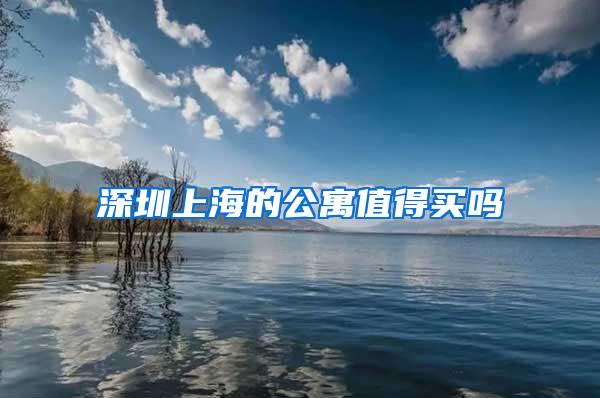 深圳上海的公寓值得买吗