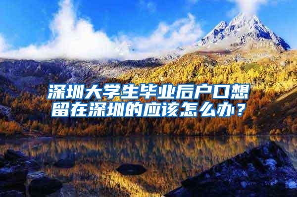 深圳大学生毕业后户口想留在深圳的应该怎么办？