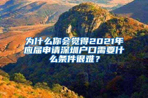 为什么你会觉得2021年应届申请深圳户口需要什么条件很难？