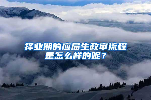 择业期的应届生政审流程是怎么样的呢？