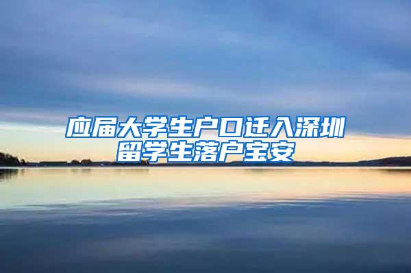 应届大学生户口迁入深圳留学生落户宝安