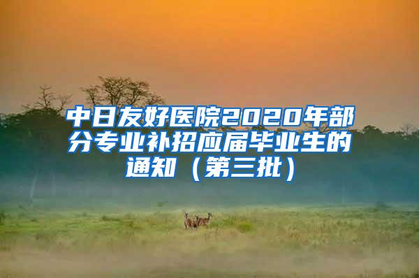 中日友好医院2020年部分专业补招应届毕业生的通知（第三批）