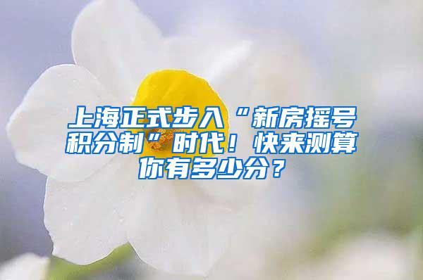 上海正式步入“新房摇号积分制”时代！快来测算你有多少分？