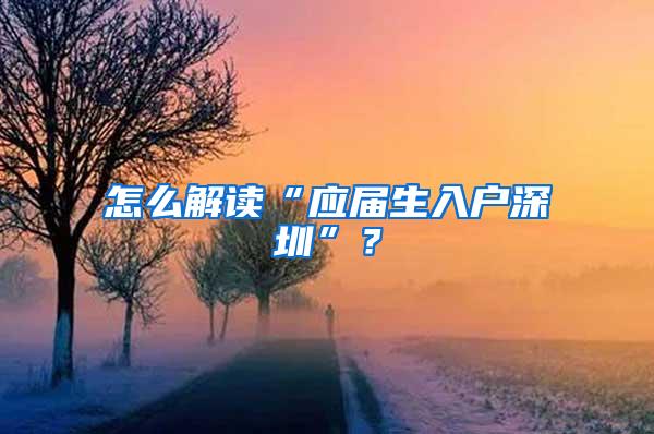 怎么解读“应届生入户深圳”？