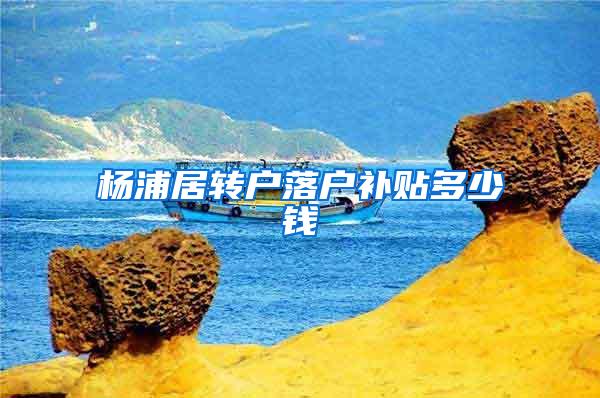 杨浦居转户落户补贴多少钱