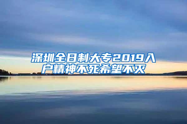 深圳全日制大专2019入户精神不死希望不灭