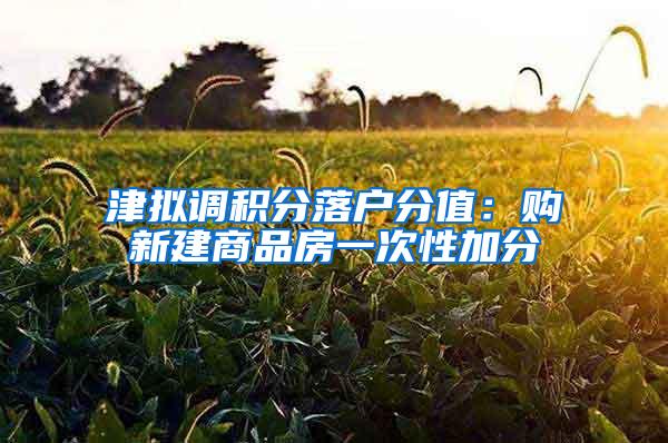 津拟调积分落户分值：购新建商品房一次性加分