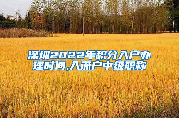 深圳2022年积分入户办理时间,入深户中级职称