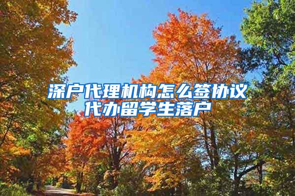 深户代理机构怎么签协议代办留学生落户