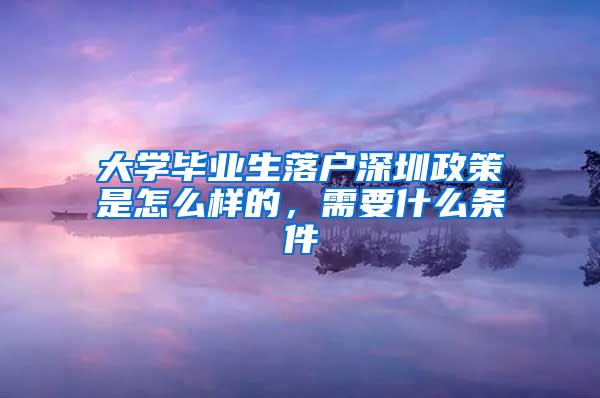 大学毕业生落户深圳政策是怎么样的，需要什么条件