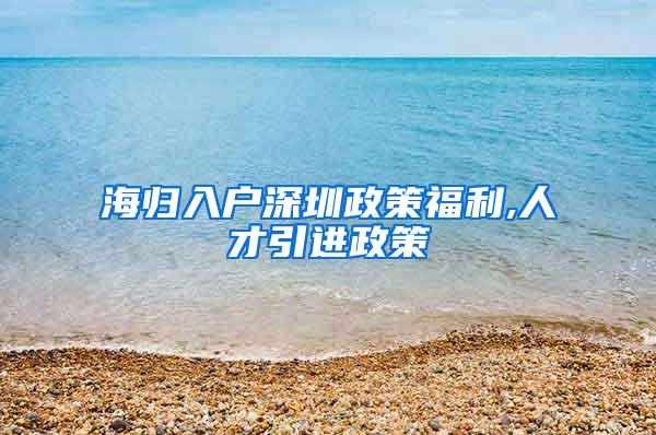 海归入户深圳政策福利,人才引进政策