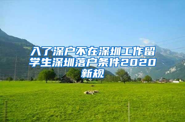 入了深户不在深圳工作留学生深圳落户条件2020新规