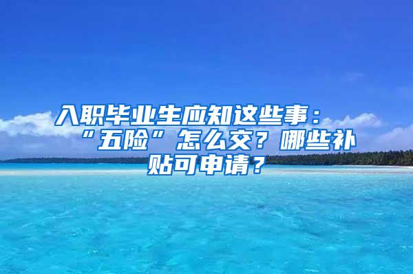 入职毕业生应知这些事：“五险”怎么交？哪些补贴可申请？