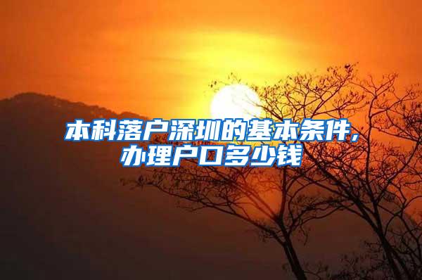 本科落户深圳的基本条件,办理户口多少钱