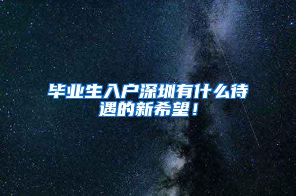 毕业生入户深圳有什么待遇的新希望！