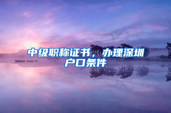 中级职称证书，办理深圳户口条件