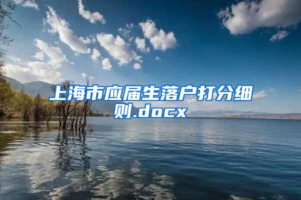 上海市应届生落户打分细则.docx