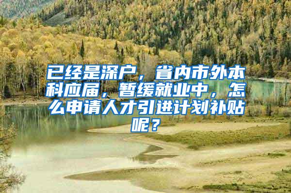 已经是深户，省内市外本科应届，暂缓就业中，怎么申请人才引进计划补贴呢？