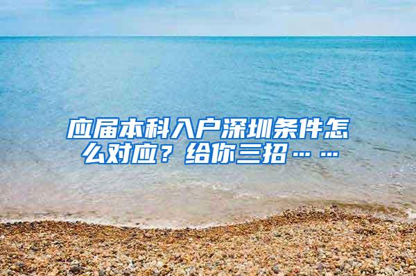 应届本科入户深圳条件怎么对应？给你三招……