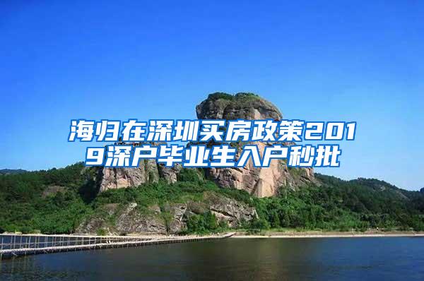 海归在深圳买房政策2019深户毕业生入户秒批