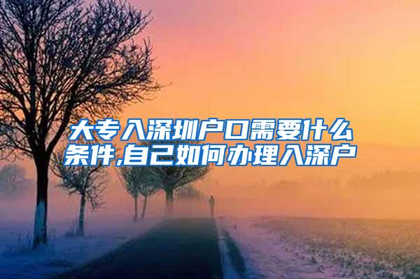 大专入深圳户口需要什么条件,自己如何办理入深户