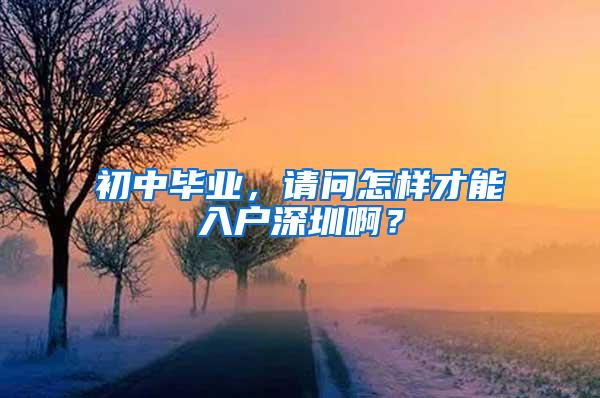 初中毕业，请问怎样才能入户深圳啊？