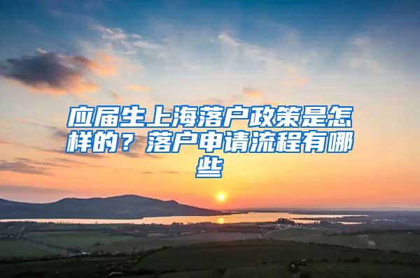 应届生上海落户政策是怎样的？落户申请流程有哪些