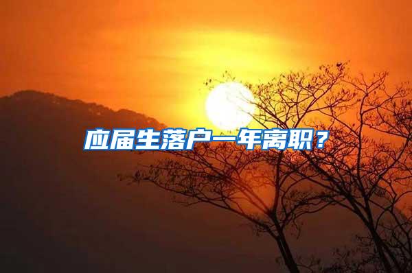 应届生落户一年离职？