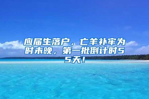 应届生落户，亡羊补牢为时未晚，第一批倒计时55天！