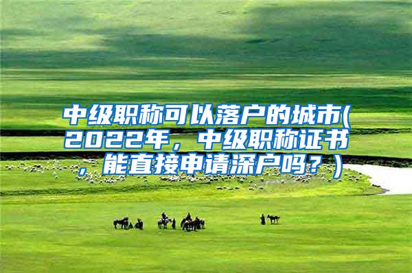 中级职称可以落户的城市(2022年，中级职称证书，能直接申请深户吗？)