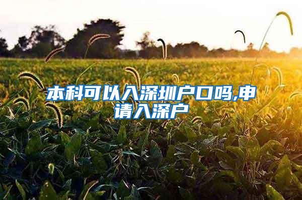 本科可以入深圳户口吗,申请入深户