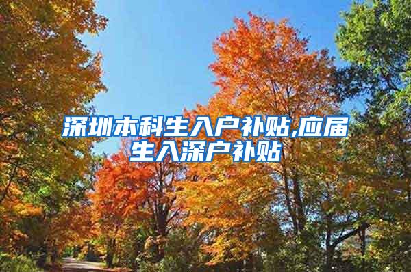 深圳本科生入户补贴,应届生入深户补贴