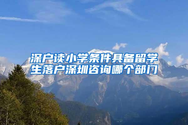 深户读小学条件具备留学生落户深圳咨询哪个部门