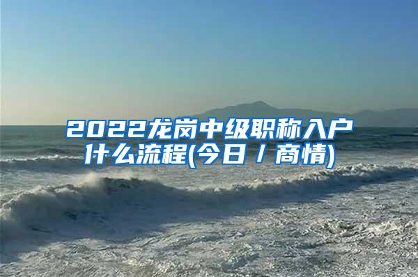 2022龙岗中级职称入户什么流程(今日／商情)