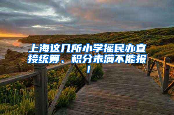 上海这几所小学摇民办直接统筹、积分未满不能报！