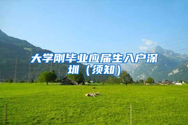 大学刚毕业应届生入户深圳（须知）