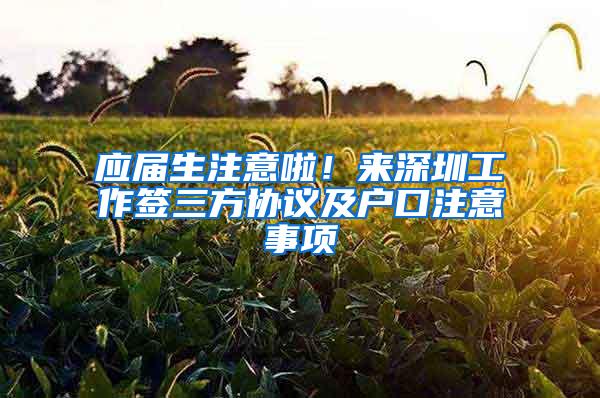 应届生注意啦！来深圳工作签三方协议及户口注意事项