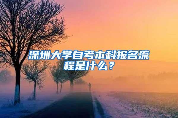 深圳大学自考本科报名流程是什么？