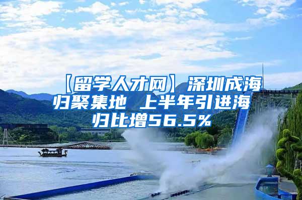 【留学人才网】深圳成海归聚集地 上半年引进海归比增56.5%