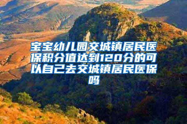 宝宝幼儿园交城镇居民医保积分值达到120分的可以自己去交城镇居民医保吗