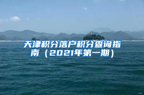 天津积分落户积分查询指南（2021年第一期）