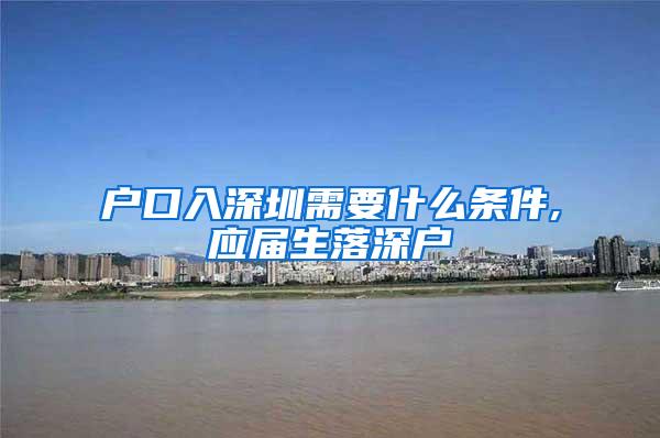 户口入深圳需要什么条件,应届生落深户