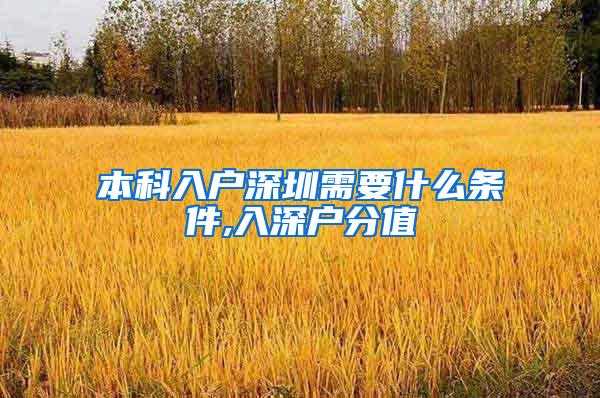 本科入户深圳需要什么条件,入深户分值