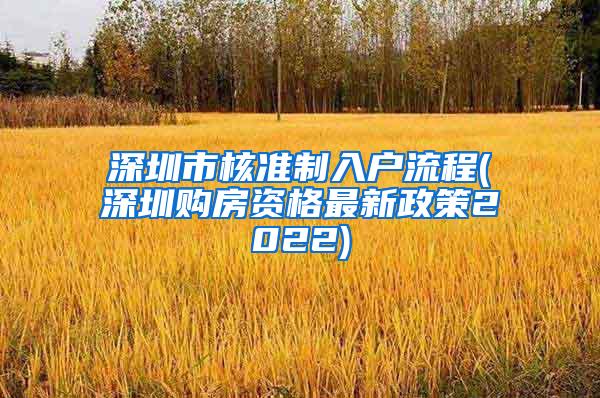 深圳市核准制入户流程(深圳购房资格最新政策2022)